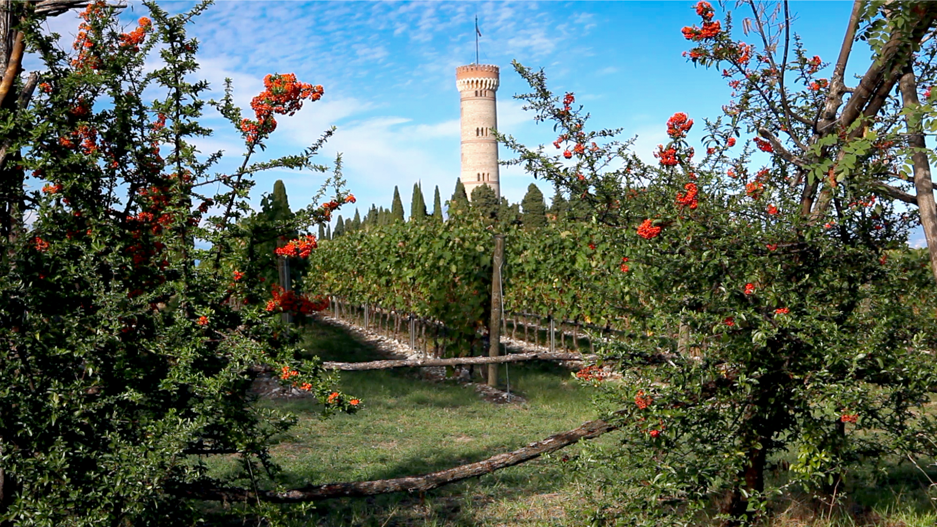 Authentic Lugana wine, from beautiful Lake Garda