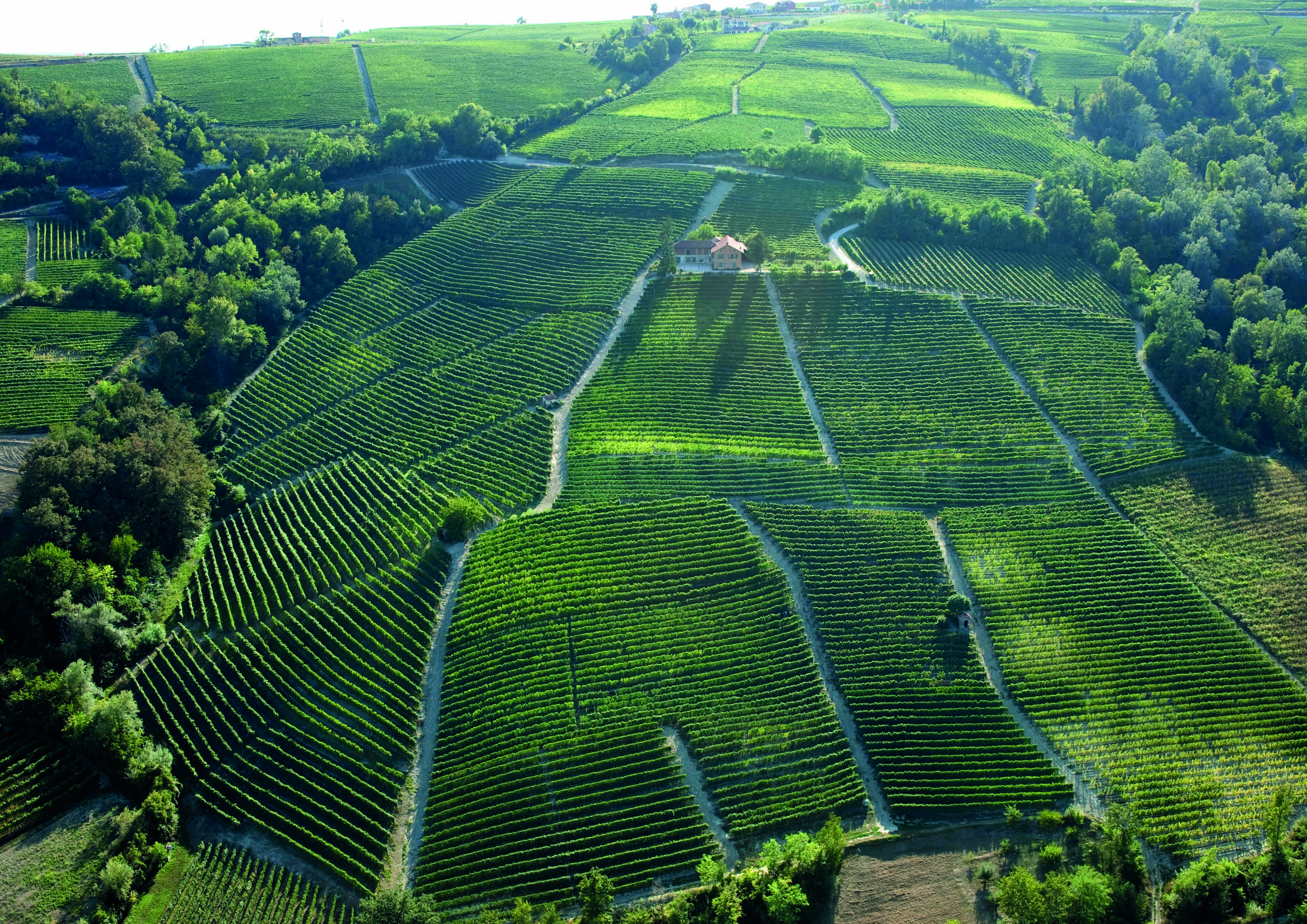 Mirafiore Winery: A True Testament to the Terroir of Barolo