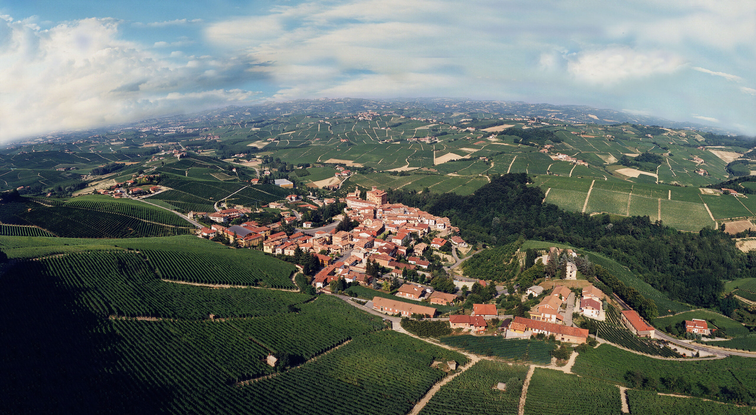 Borgogno Vineyard: A Journey Through Barolo Excellence