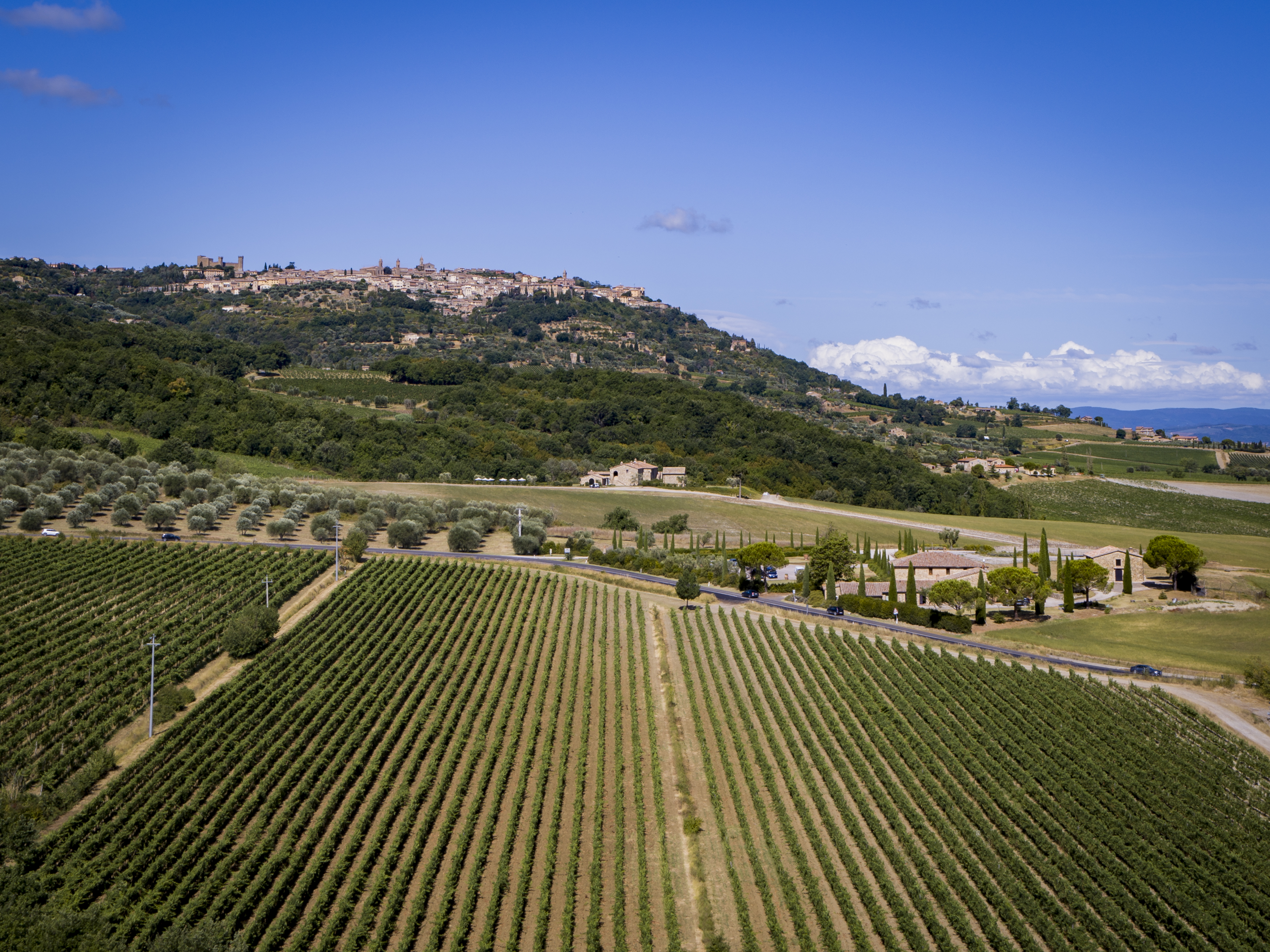 The Legacy of Casanova di Neri Winery