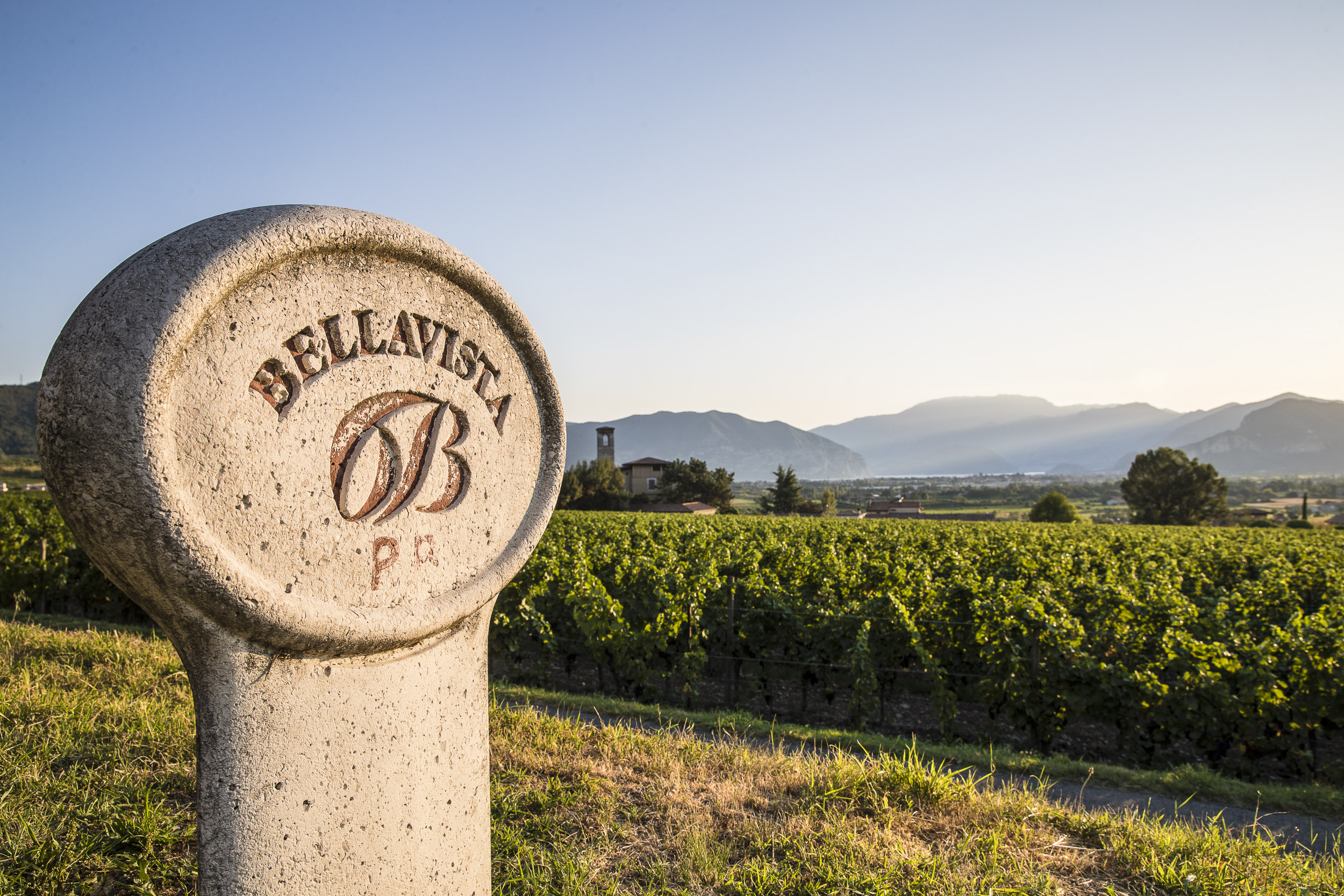 Bellavista: The Epitome of Italian Sparkling Wine Excellence